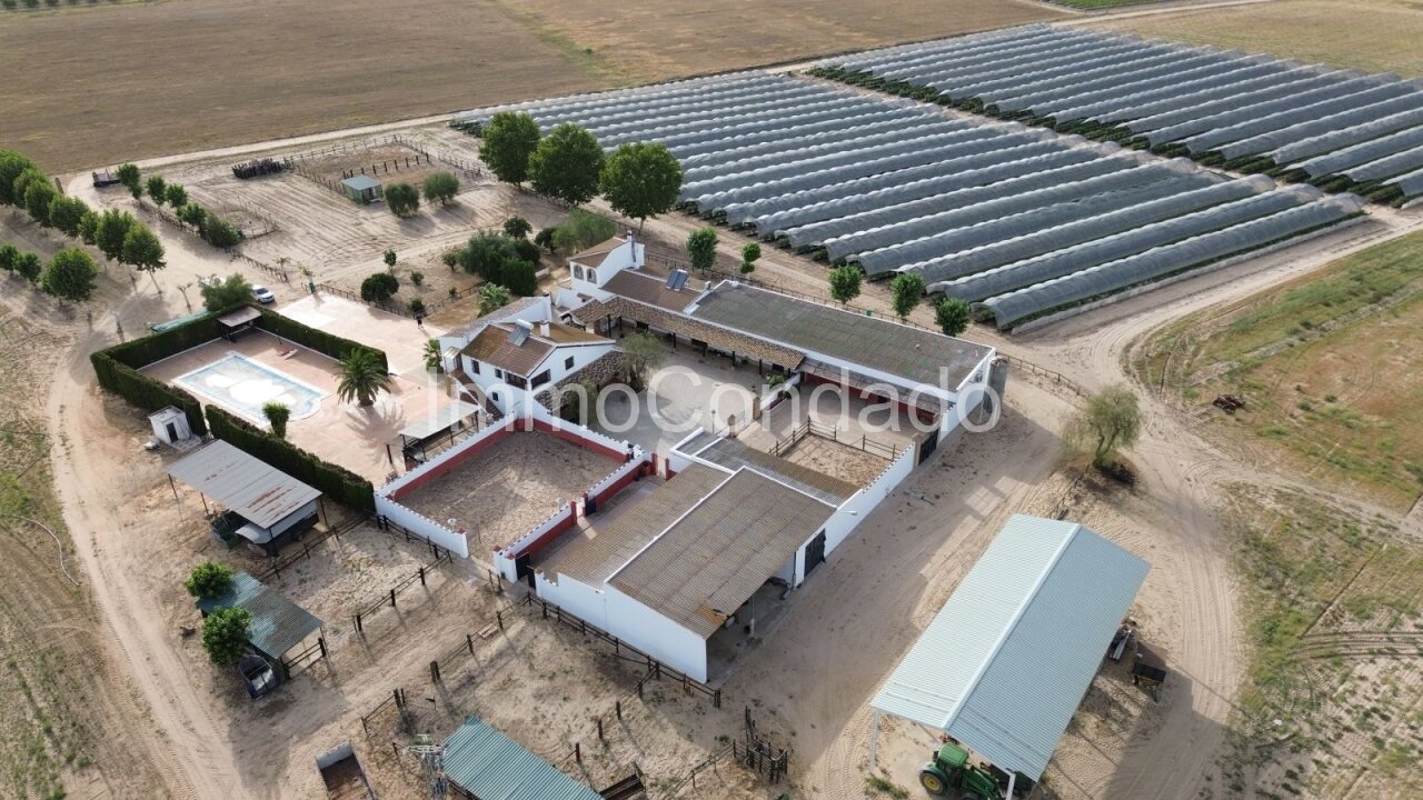 Aerial view of building complex